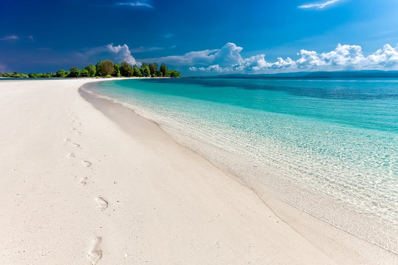 Beachfront Wedding