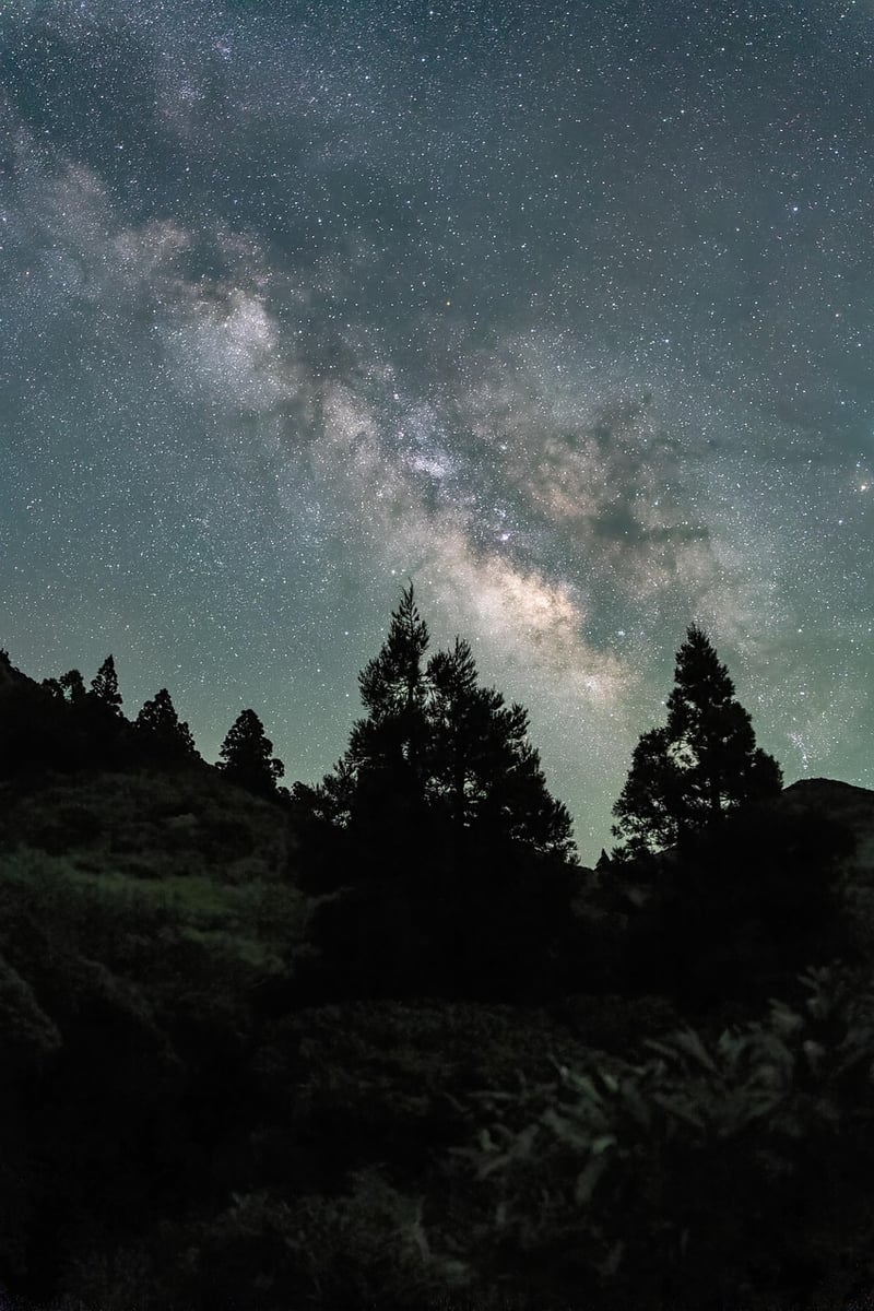 Night Sky Dinner